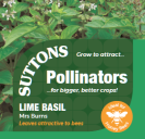 Lime Basil Mrs Burns