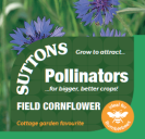 Field Cornflower