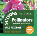 Wild Foxglove