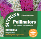 Buddleia Magnet Mix