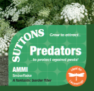 Ammi Snowflake (Predators)