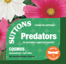 Cosmos Sensation Tall