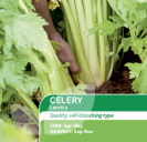 Celery Loretta