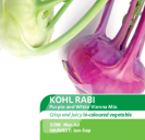Kohl Rabi Purple & White Vienna Mix