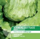 Lettuce Iceberg Match