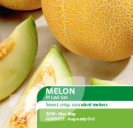 Melon F1 Lavi Gal