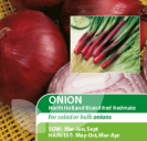 Onion North Holland Blood Red Redmate
