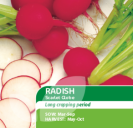 Radish Scarlet Globe