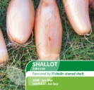 Shallot Zebrune