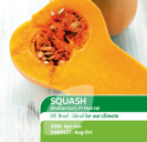 Squash F1 Butternut Hunter