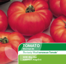 Tomato Marmande
