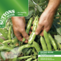 Broad Bean The Sutton (Dwarf)