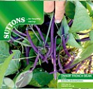 Dwarf French Bean Celine