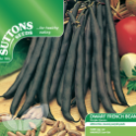 Dwarf French Bean Purple Queen