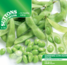 Edamame Soya Bean Green Shell
