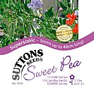 Sweet Pea Supersonic