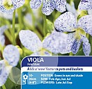 Viola Freckles