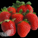 Strawberry Collection