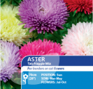 Aster Tall Fraggle Mix