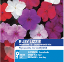 Busy Lizzie Value Hybrids - Impatiens