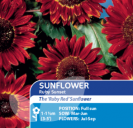 Sunflower Ruby Sunset