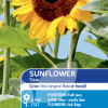 Sunflower Titan