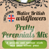 Native British Wildflowers Pretty Perennials Mix