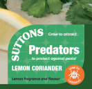 Lemon Coriander