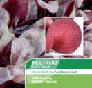 Beetroot Bulls Blood