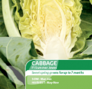 Cabbage F1 Summer Jewel Spring Greens