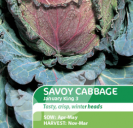 Cabbage Savoy January King 3