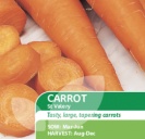 Carrot St.Valery