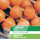 Carrot Rondo