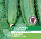 Cucumber Bush Champion