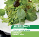 Salad Leaves Oriental Wonders Mix