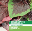 Salad Leaves Andean Superfood Mix
