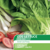 Lettuce Cos Little Gem