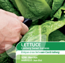 Lettuce Cosberg Sweet Success F1