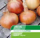 Onion F1 Santero