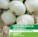 Pickling Onion Paris Silverskin