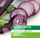 Spring Onion Purplette