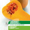 Squash F1 Butternut Hunter