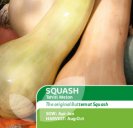 Squash Tahiti Melon