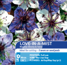 Love-In-A Mist Nigella Ebony & Ivory