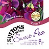 Sweet Pea Cupani