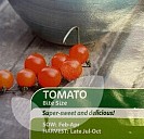 Tomato Bite Size