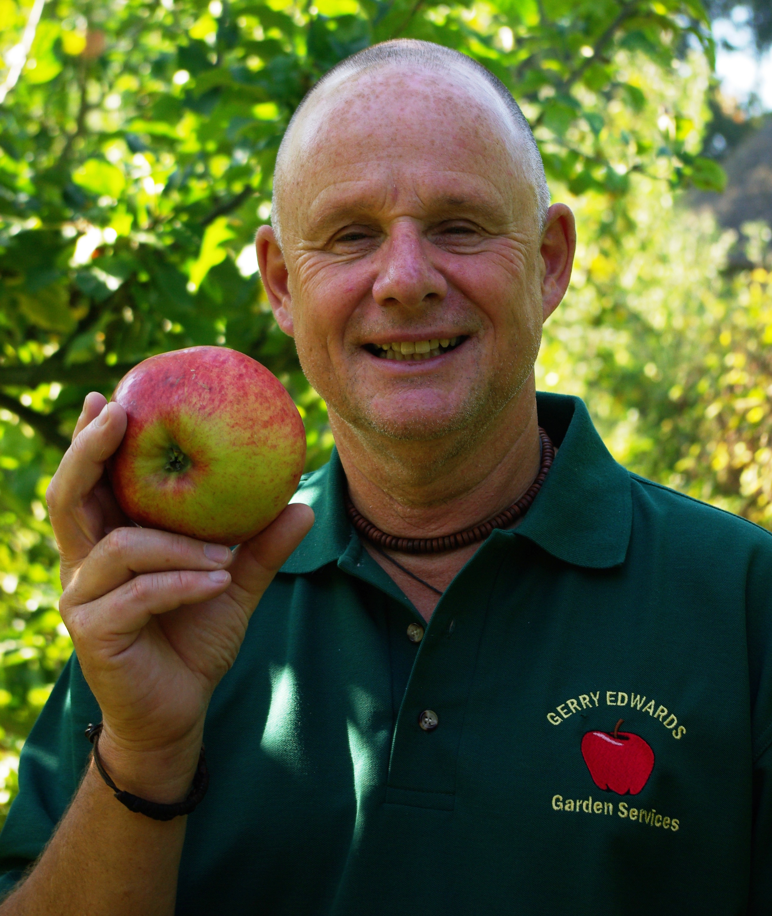 A Healthy Fruit Garden